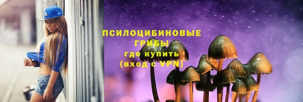 МДПВ Абдулино