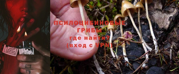 гидра Абинск