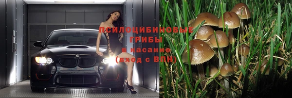 гидра Абинск