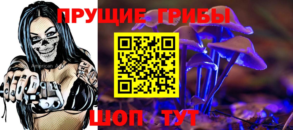 Псилоцибиновые грибы GOLDEN TEACHER Фурманов